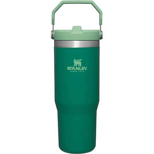 STANLEY IceFlow Stainless Steel Tumbler with Straw, Vacuum Insulated Water Bottle for Home, Office or Car, Reusable Cup with Straw Leakproof Flip