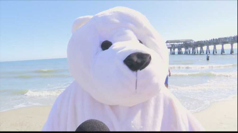 Thousands take the plunge in Tybee Island's annual Polar Plunge event