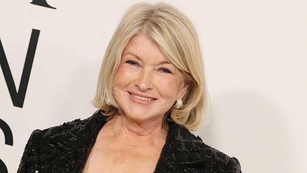 Businesswoman Martha Stewart Teases Sultry Nightgown Selfie at 82